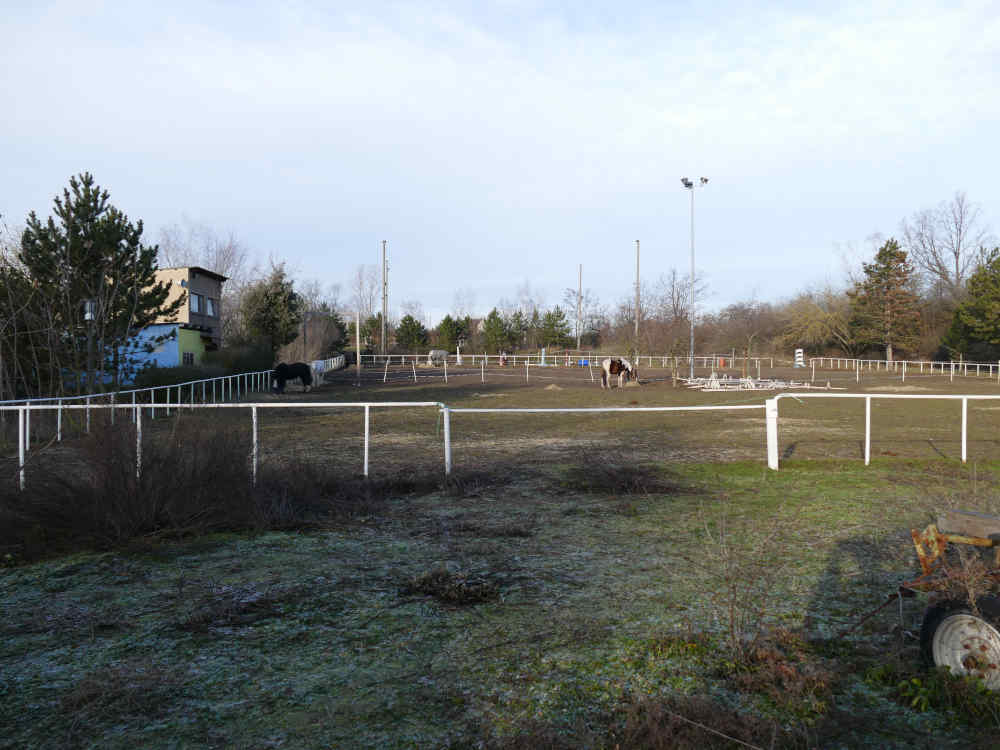 200112-Reitsportverein (11) 1000 35%